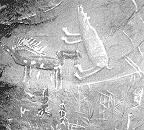 petroglyphs