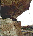 arch pic