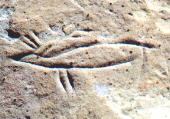 petroglyphs