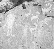 petroglyphs