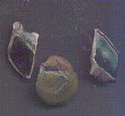 Fossils