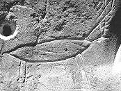 petroglyphs