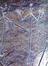 petroglyphs