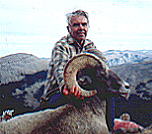 Dad's Bighorn Sheep