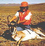 Sister's antelope