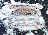 5 Ice Fish