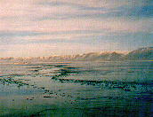 a trail through the ice