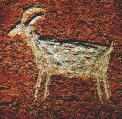 petroglyphs