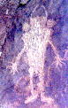 petroglyphs