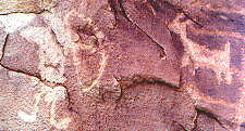petroglyphs