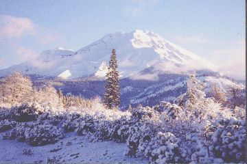 Mt. Shasta