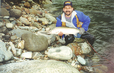 Steelhead5.gif (126072 bytes)