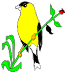 goldfinch