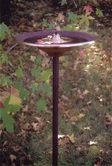 Bird bath with a recirculating water spout.