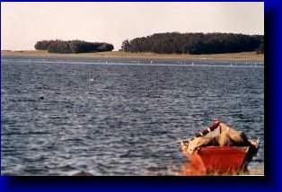 Laguna de Rocha