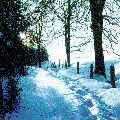 Winter bei Ottobeuren
