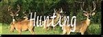Waterfowl, Upland, Turkey, Deer & Mounts