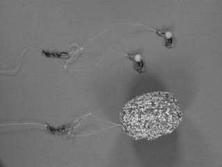 Picture of pack bait