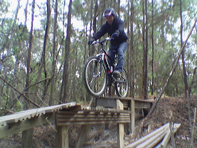 Bridge