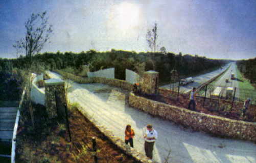 Land Bridge Over I-75