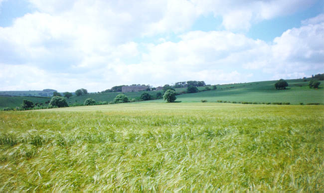 Derwent Hotel, near Allensford