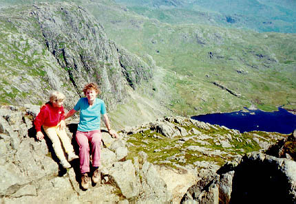 Stickle from Harrison Stickle
