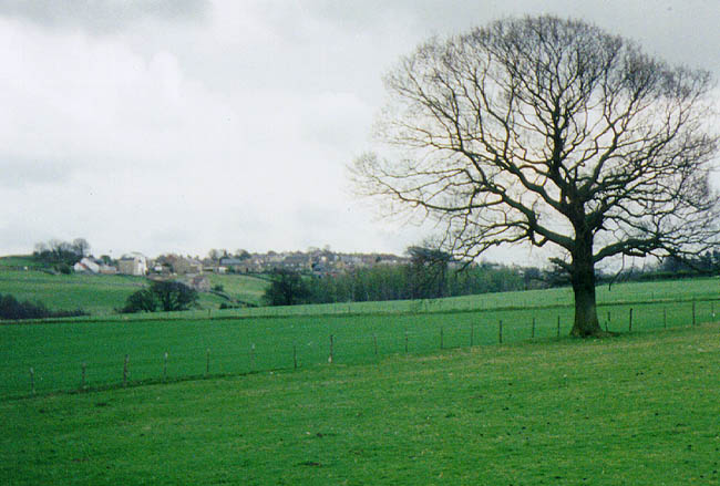 Castleside