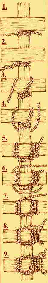 lash.jpg (17797 bytes)