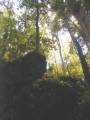 Cave's mouth