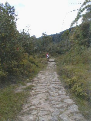 Camino Real