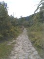 Royal trail