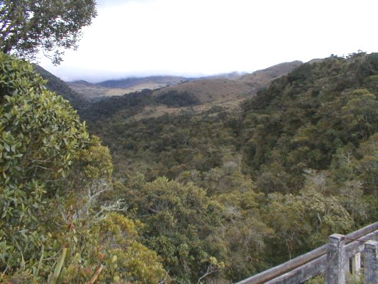 Valle hacia el pramo
