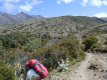 Road and Campanario Peak