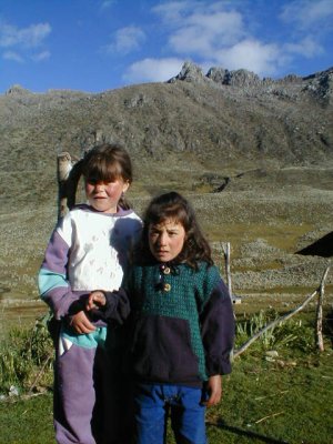 Nias del pramo