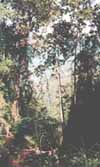 Valley view