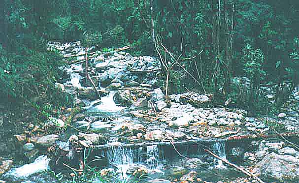 Quebrada La Coromoto