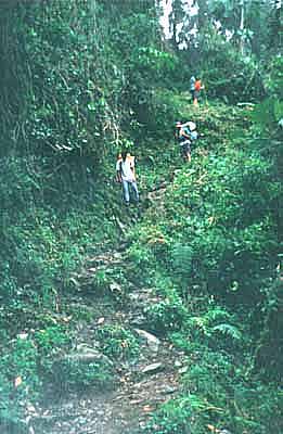 Sendero en zigzag