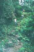 Zigzag trail