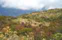 Llegando a Quintana