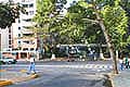 Parque Residencial Anauco