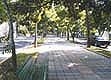 Marqus del Toro Avenue