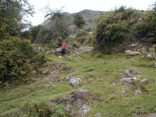 Inicio del camino