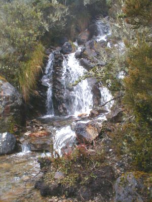 Cascada