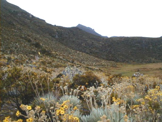 Camino al 3er. valle