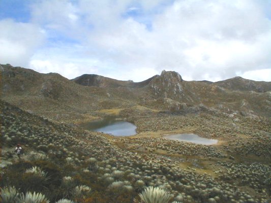Lagunas #4 y #5