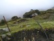 Refugio