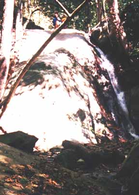 Cuarta cascada de Quebrada Quintero - camino inferior