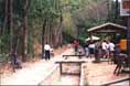 Quebrada Quintero - low path