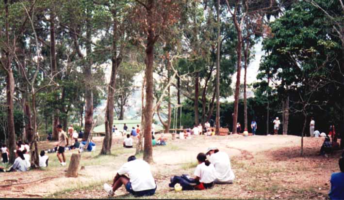 Area de descanso de Sabas Nieves