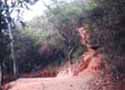 Bifurcation to Toma Quintero